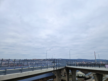 Samotný průjezd přes estakádu Tomkovo náměstí – Rokytova se zprovoznil už loni v létě. Do prosince 2024 však trvaly práce na sjezdech a nájezdech na velký městský okruh. Instalace trolejového a tramvajového vedení probíhala během podzimu. Úsek je pro motorovou dopravu nyní zcela hotový. Během letošního roku se budou dokončovat chodníky a upravovat plochy okolo. Foto: Zdeňka Obalilová