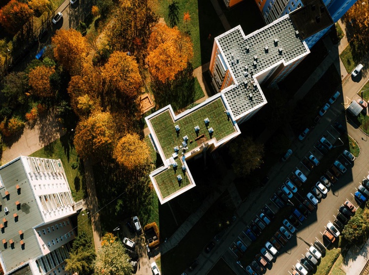 Vytvořte si mezi bytovkami přírodní oázu. Pomůžou vám brněnské ekodotace