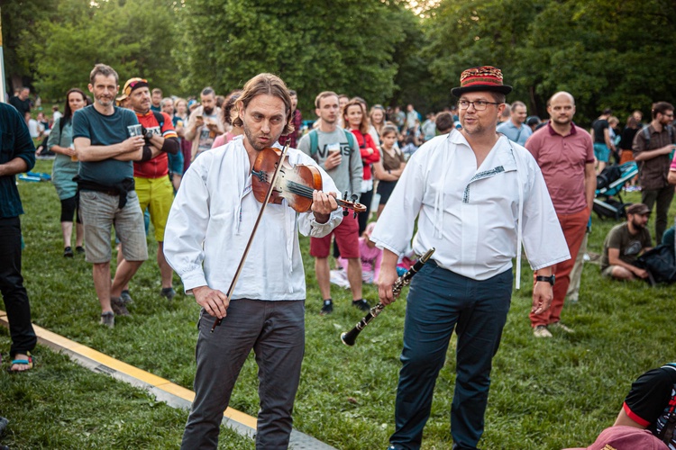 Předminulý ročník festivalu v Lužánkách. Foto: PonavaFest