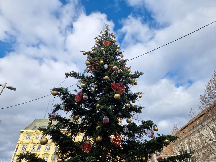 Vánoční strom republiky se rozsvítí v pátek v 17 hodin. Foto: Z. Obalilová