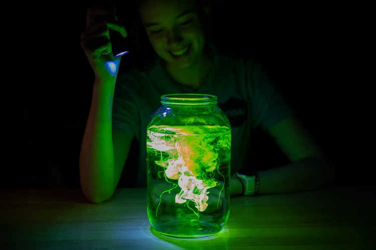 Vědecká světelná show. Foto: VIDA! science centrum