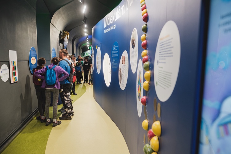 Prohlídka Mendelova muzea. Foto: Mendelovo muzeum MUNI