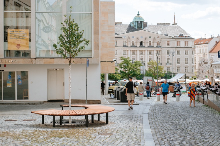 Před poškozením chrání nově vysazenou ambroň západní i lavička. Foto: KAM Brno