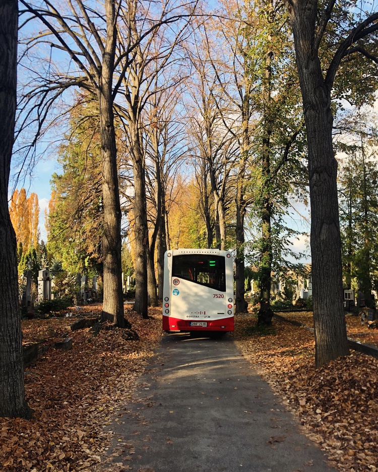Minibusy budou po trase zastavovat i na znamení mimo oficiální zastávky. Foto: SHMB