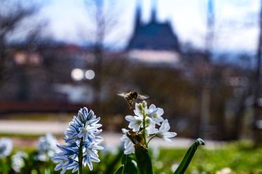 Velikonoce v Brně strávíte na hradě, zahradě či jarmarku
