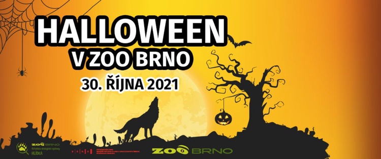 Ani o halloweenském víkendu se nebudete nudit