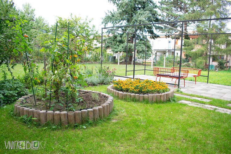 Zelená vašim nápadům. Město opět přispěje lidem na zelené střechy či oživení vnitrobloků