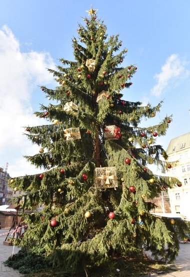 V pátek začnou na náměstí Svobody Brněnské Vánoce