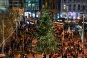 Slavnostní rozsvícení Těsnohlídkova vánočního stromu