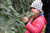 Slavnostní předání Těsnohlídkova vánočního stromu městu Brnu