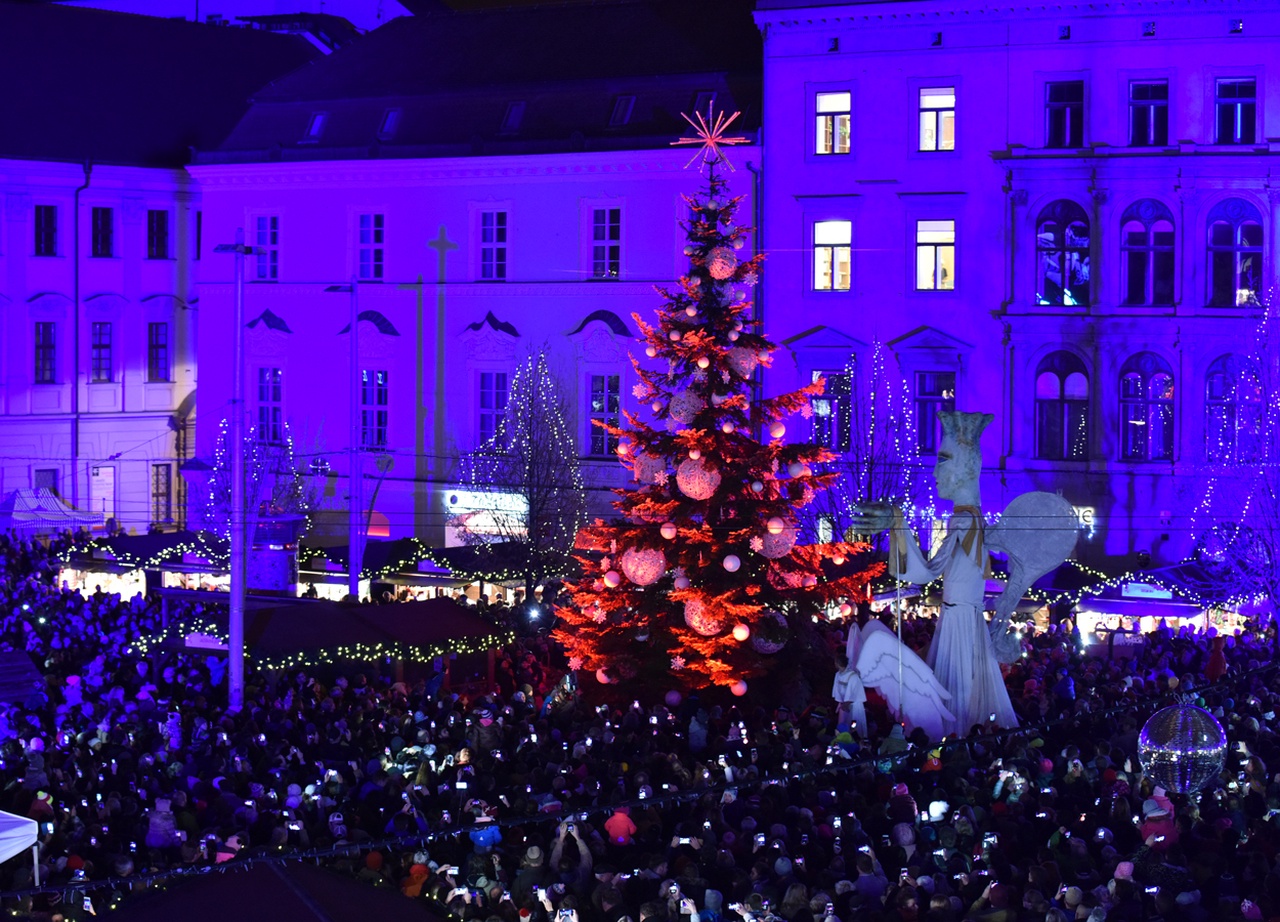 Slavnostní rozsvícení Těsnohlídkova vánočního stromu