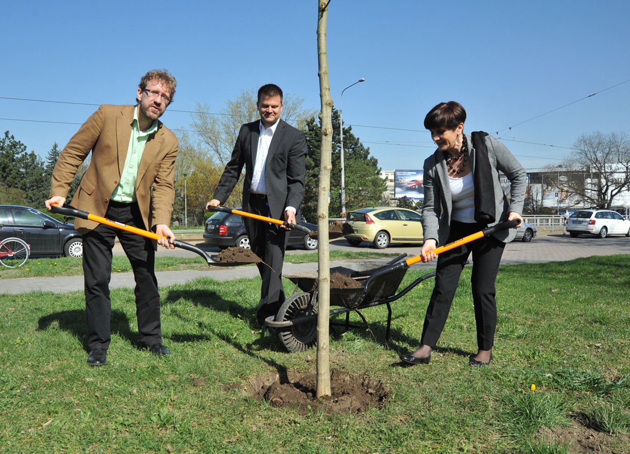 Slavnostní odhalení cedule a zasazení památného stromu u příležitosti 50. výročí spolupráce měst Brna a Rennes