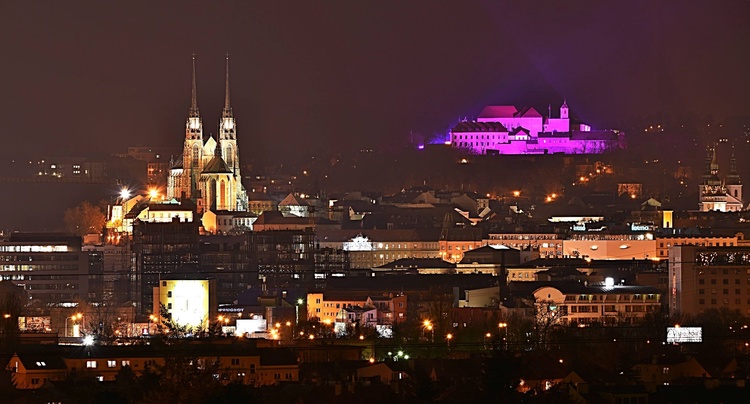 Špilberk bude svítit purpurově na podporu předčasně narozených dětí, foto: Mirek Nosek