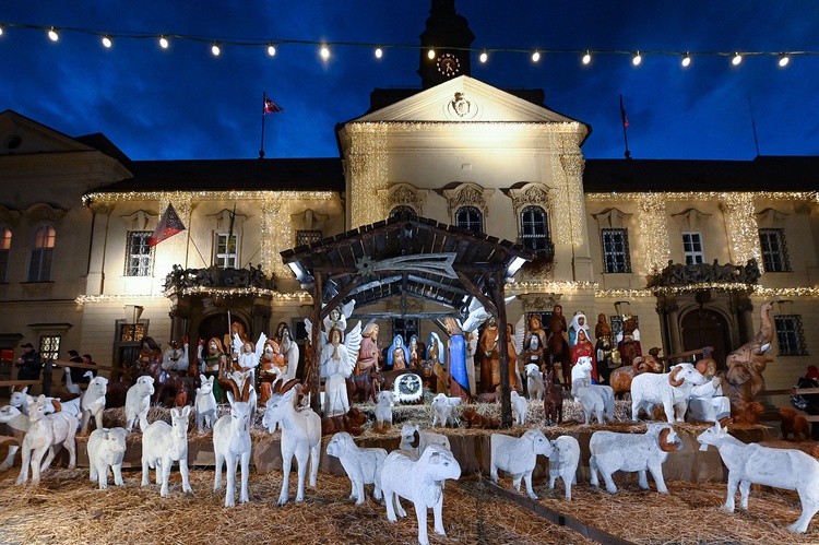 O Vánocích nuda nebude. Zajděte do zoo, na hvězdárnu nebo na výstavu