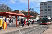 Slavnostní otevření Mendlova náměstí a odhalení Hrachoviny: hlavní obrázek