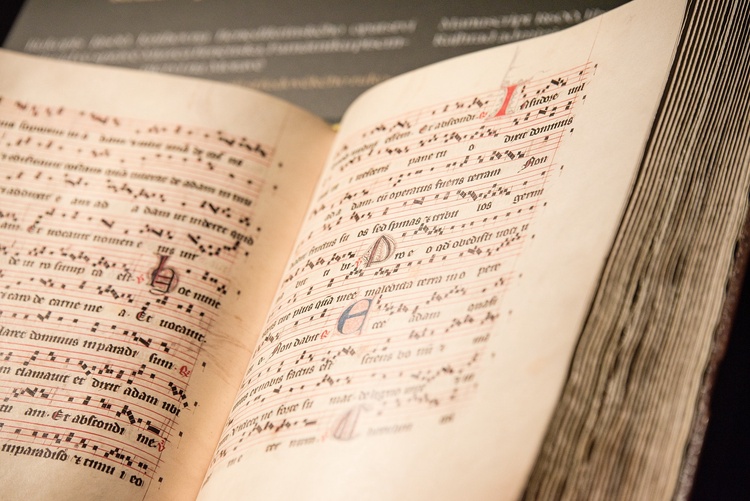 Audio kvíz, Eliška Rejčka i florbal na Svoboďáku. Vyberte si z bohaté víkendové nabídky