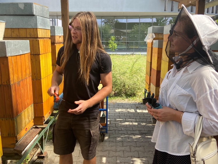 Jak to vypadá a funguje v úle, se lidé dozví na ukázce ve včelíně. Foto: MMB