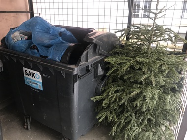 Odzdobený stromek stačí odložit k popelnici, ať uvnitř ní zbytečně nezabírá místo. Foto: Radka Loukotová