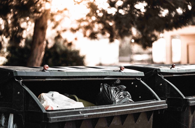 Foto: Viktor Hanáček/picjumbo.com